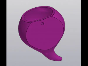 Radijs Wandvaas voor gedroogde en kunstbloemen 3D printmodel