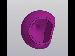 Radijs Wandvaas voor gedroogde en kunstbloemen 3D printmodel