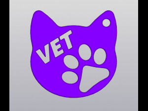 Vet Keychain Gift for veterinarian Modelo de impresión 3D