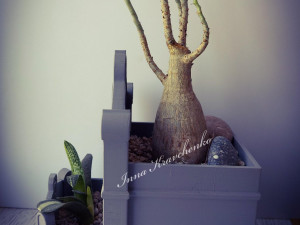 Crypt Planter 3D Baskı Modeli