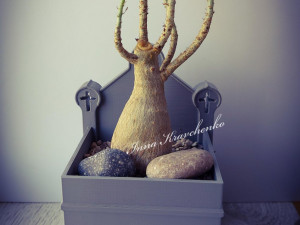 Crypt Planter 3D Baskı Modeli
