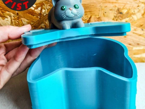 Valentine Box Male Cat with balls 3D Print Model