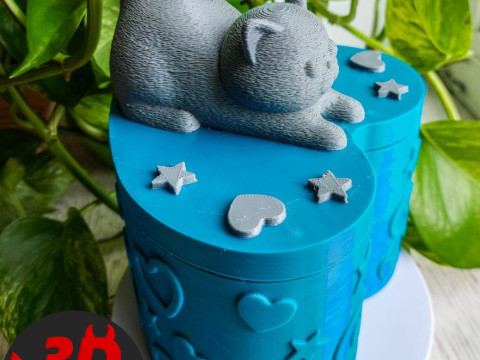 Valentine Heart Box Male Cat with balls 3D 프린트 모델