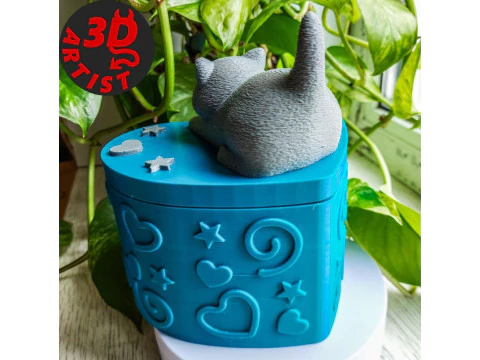 Valentine Heart Box Male Cat with balls 3D Print Model