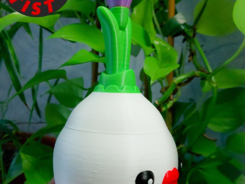Crocus Box 3D Print Model
