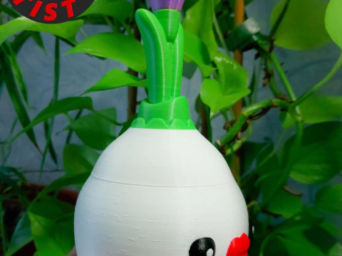 Crocus Box 3D Print Model