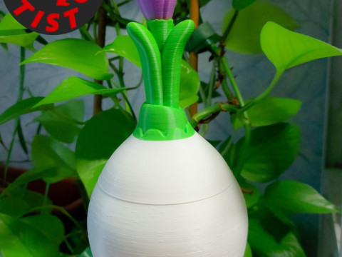 Crocus Box 3D Print Model