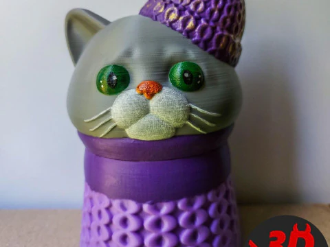 Kat in een truidoos 3D printmodel