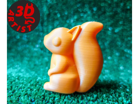 Pocket Squirrel Toy and Hanging Acorn Toy House Modello di stampa 3D