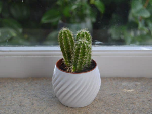 3d print - planter pot - plant vase - planter 3d 3D Print Model
