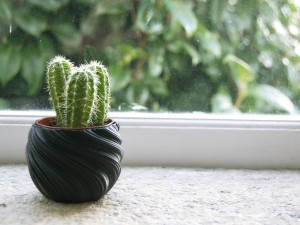 3d print - planter pot - plant vase - planter 3d 3D 프린트 모델