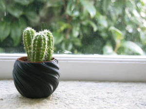 3d print - planter pot - plant vase - planter 3d 3D Print Model