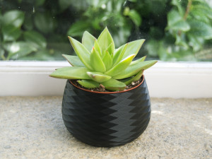 3d print - planter pot - plant vase - planter 3d 3D 프린트 모델