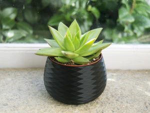 3d print - planter pot - plant vase - planter 3d 3D Print Model