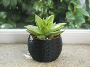 3d print - planter pot - plant vase - planter 3d 3D 프린트 모델