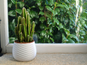 3d print - planter pot - plant vase - planter 3d 3D 프린트 모델