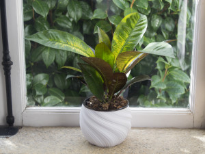 3d print - planter pot - plant vase - planter 3d 3D 프린트 모델