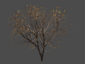Autumn tree 3D-Modell