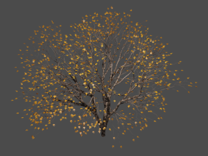 Autumn tree Modelo 3D
