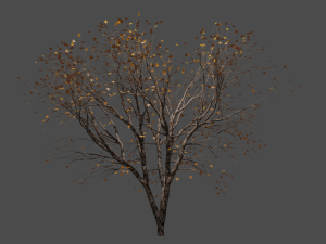 Autumn tree Modelo 3D