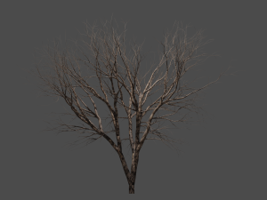 Autumn tree Modelo 3D