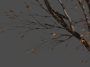 Autumn tree 3D Model