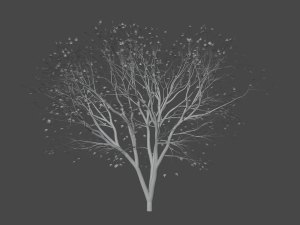 Autumn tree Modelo 3D