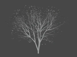 Autumn tree 3D Model