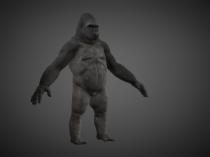 king kong - Model 3D