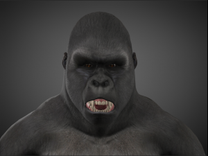 king kong - Model 3D