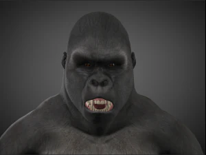 king kong - 3D Model