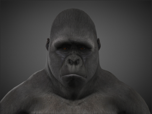 king kong - Model 3D