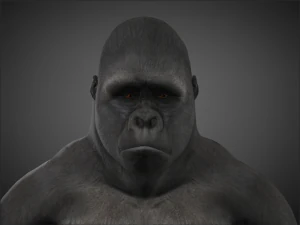 king kong - 3D Model