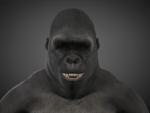 king kong - Model 3D