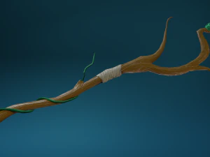 personale druidico Modello 3D