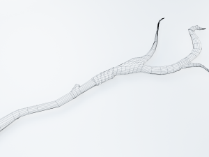 druidic staff Modelo 3D