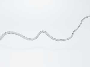 druidic staff Modelo 3D