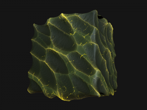 stylized rock8 pbr texture CG Tekstury
