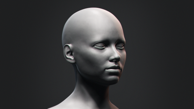 European Bust Female Head Modelo 3D .c4d .max .obj .3ds .fbx .stl .blend 