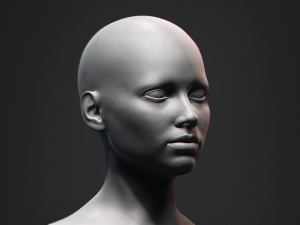 European Bust Female Head 3Dモデル