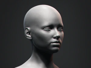 Европейский бюст, женская голова 3D Модель