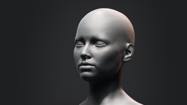 European Bust Female Head 3D Model in Anatomy 3DExport