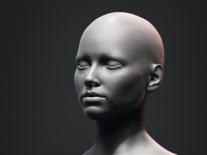 European Bust Female Head Modelo 3D