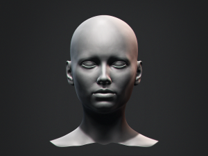 European Bust Female Head Modelo 3D