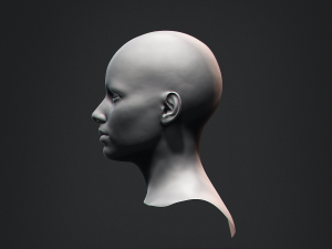 European Bust Female Head Modelo 3D