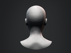 European Bust Female Head Modelo 3D