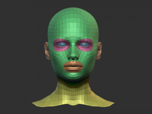 European Bust Female Head Modelo 3D