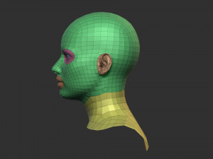 European Bust Female Head Modelo 3D