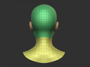 European Bust Female Head Modelo 3D