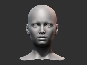 European Bust Female Head Modelo 3D
